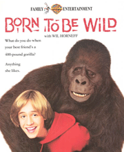 Born to Be Wild